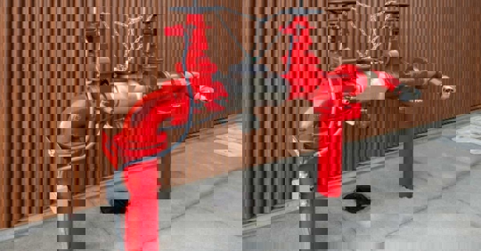 A backflow preventer